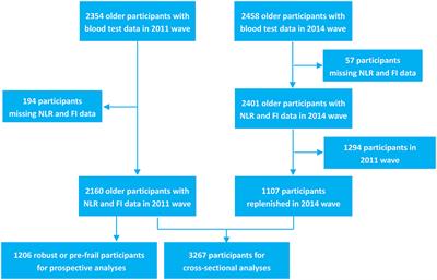 Association Between Neutrophil–Lymphocyte Ratio and Frailty: The Chinese Longitudinal Healthy Longevity Survey